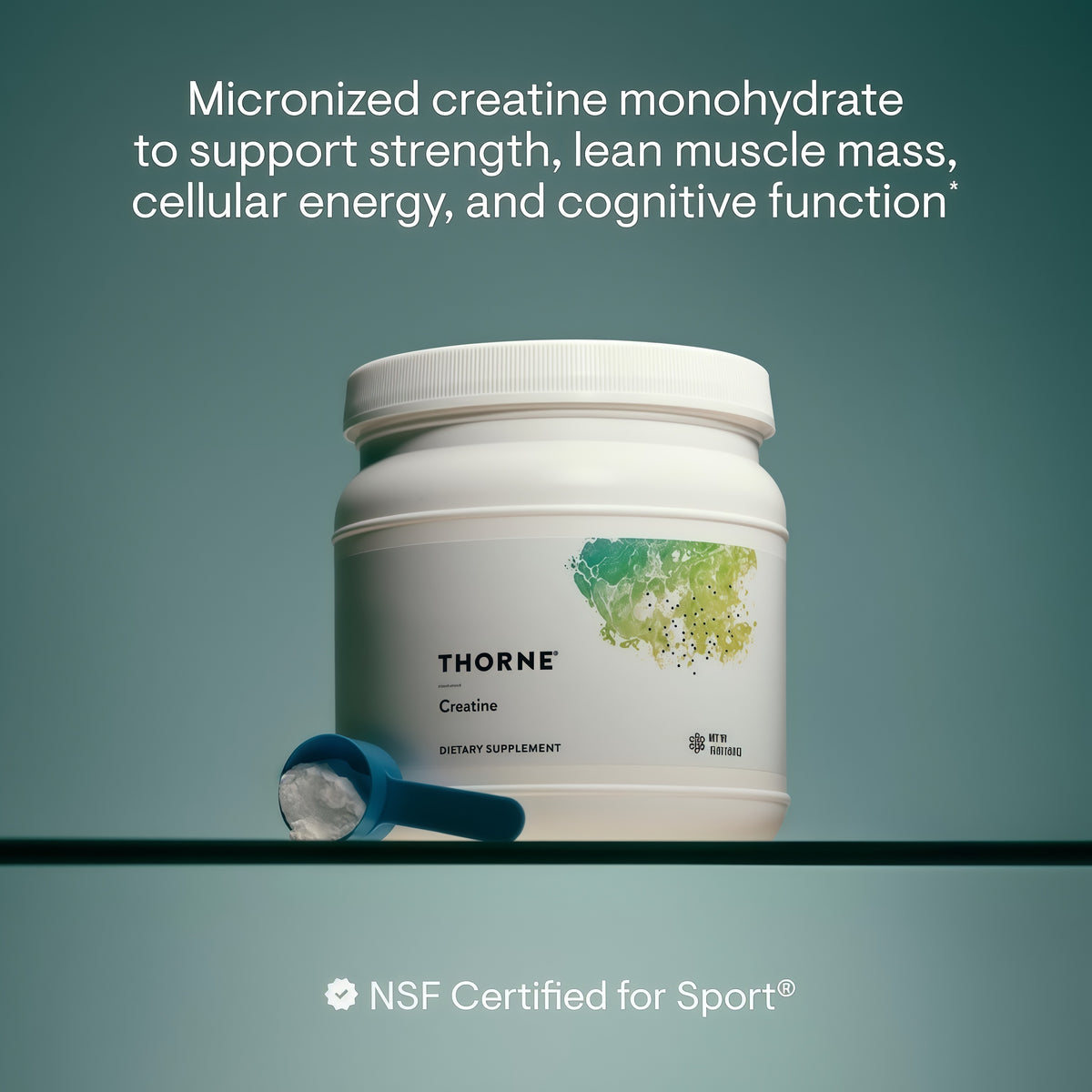 Creatine Monohydrate for Muscle & Strength Support