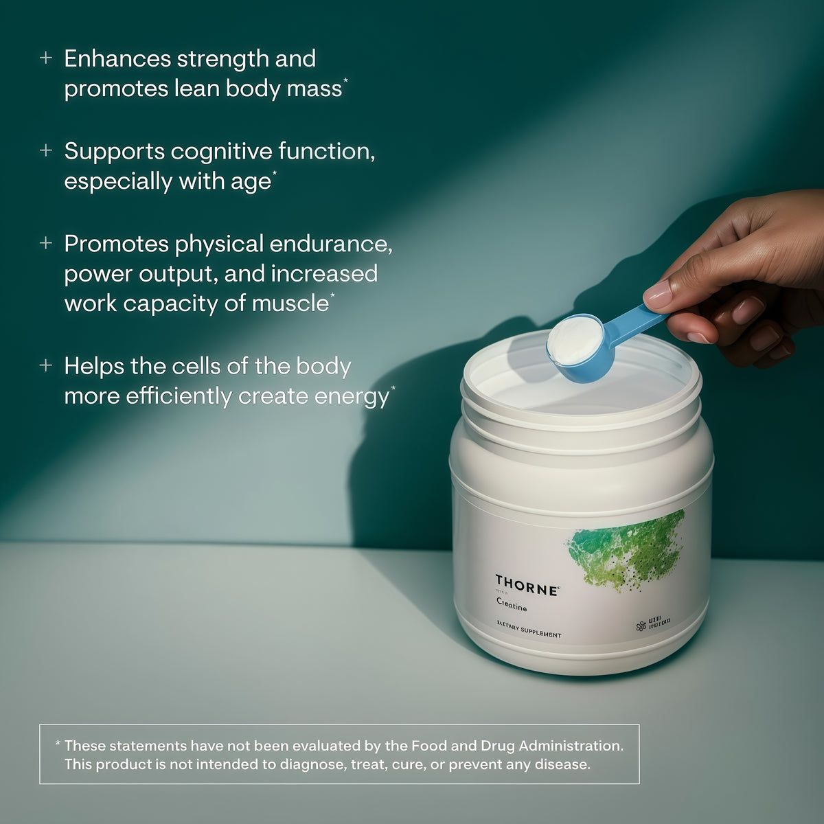 Creatine Monohydrate for Muscle & Strength Support